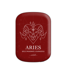 Aries Powerbank magnetico