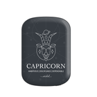 Capricorn Powerbank magnetico