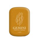 Gemini Powerbank magnetico
